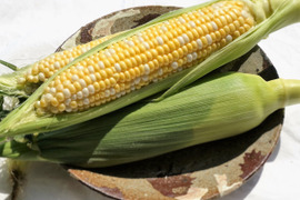 【豊作なので、大特価　20本入！！】味は絶品！甘くて柔らかい信州産スイートコーン