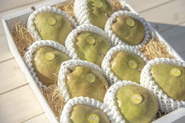 【冬ギフト】 ★甘くとろける～特秀ラフランス～（９～１２玉入り）約３キロ