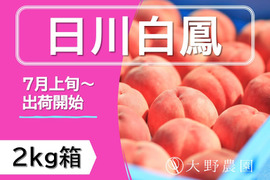 ＜2023先行予約＞【日川白鳳・2kg箱】古くから愛される味わい