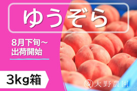 ＜2023先行予約＞【ゆうぞら・3kg箱】晩生種の代表！最高の食味