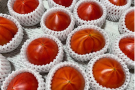 【3箱】弾ける旨味・甘み！【ト・マーレ】禁断の濃密さ 800g×３