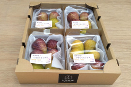 おまかせ！いちじくミックス　約320g×4P