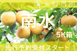 【梨：南水・5kg程度】今大注目されている甘くてジューシーな和梨
