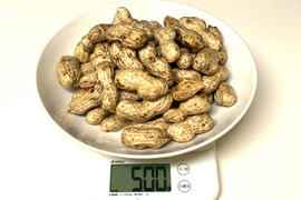生落花生「おおまさり」（茹で落花生用） 群馬県産  500 g