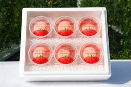 「高糖度トマトの濃厚な味わい」をそのままフリージング！トマトジェラート『GemTomato』（6個入り）【熨斗対応可】