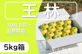 りんご 王林   癒やしの香り豊かな時間 青りんご20～16個程度（5kg程度）
