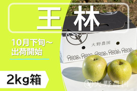 りんご 王林  癒やしの香り豊かな時間 青りんご 8～5個程度（2kg程度）