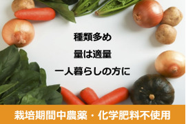 1名様向け／旬の野菜5種セット