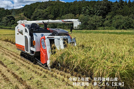 【令和7年・新米予約】♣️「夢ごこち」確かに味があるモチモチ派がハマるお米🌾京都・京丹後峰山産　特別栽培米3㎏【玄米】