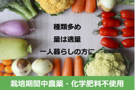 1名様向け野菜セット／旬の野菜5種