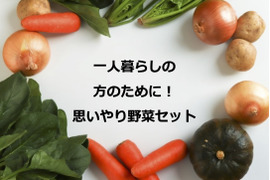 【栽培期間中農薬・化学肥料不使用】1名さま向け野菜4種に加工品をプラス（北海道・中四国・九州・沖縄配送不可）
