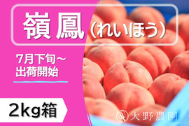 ＜2025年先行予約＞【嶺鳳・2kg程度】濃厚な甘みと食感が特徴のあかつき系希少品種