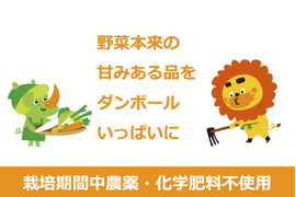 1名様向けセット／野菜4〜6種