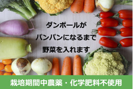 2〜4名様向け野菜セット／旬の野菜7種