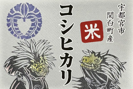 コシヒカリ[令和7年産玄米]10kg