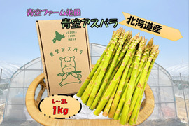 2026年北海道産！丁度よくて使いやすい！青空ファーム池田の青空アスパラ(L-2Lサイズ/1kg)