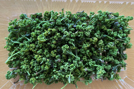 花山椒最後のため特価！気品ある香り！30g （美山産 栽培期間中