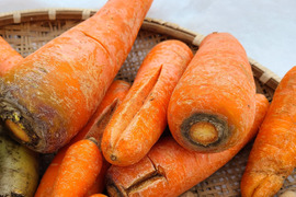 味恋(濃)い^^❕　訳アリ有機人参　在来品種・黒田五寸にんじん　　約３kg