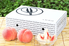 ＜2025年先行予約＞【夏雄美・3kg程度】早生ながら甘み、食味抜群！希少品種
