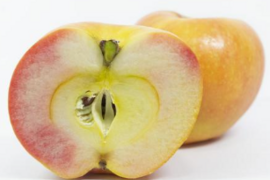 ムーンルージュ（約5㎏）12～25玉
希少りんご　扁円形で表面橙色で果肉が桃色　
若干のキズなどを含みバラ詰めでお届け