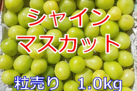🍇【山梨県笛吹市産】★粒売り★シャインマスカット 約1.0kg🍇 ～芳醇な甘みと爽やかな香り、贅沢なひとときを～
