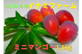 マンゴーの通販｜果物｜2ページ目｜食べチョク｜産地直送(産直