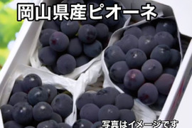 岡山県産✨ニューピオーネ🍇2kg（3房〜4房入）🎶家庭用