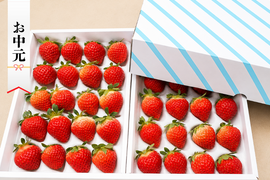 【夏ギフト】お中元ギフト｜北海道産 朝採れ夏いちご🍓北海道の大地が育む、「すずあかね・すずりっか」約600g入