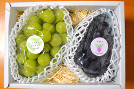 💫彩り鮮やかぶどう2房《シャインマスカット&ナガノパープル》《季節のギフトに最適》【高級化粧箱入り·計1,1kg程】【北九州市ふるさと納税返礼品にも出品中】