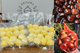 【福袋】【完熟熟成栗】栗まみれ！お得セット♪(むき栗300g+渋皮栗500g+希少栗1.5kg）【限定６０個】