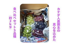 【カナダ人農園主の真心を込めた】食べ比べセット５品種（約２.4ｋｇ）