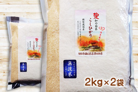 防災食・備蓄米に 無洗米 ４ｋｇ（２ｋｇ×２袋）コシヒカリ 特別栽培米 愛知県産１００％