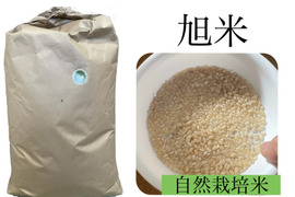 今や幻のお米！？自然栽培の旭米（10kg）玄米　自然米
