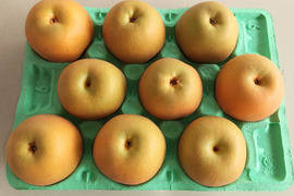 日持ちが◎　新興 3kg(中玉　9玉入)