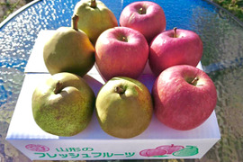 【冬ギフト】【山形産】特選大玉ラ・フランスとフジリンゴの詰め合わせ3kg(8個前後)