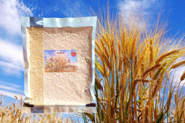 もち麦 キラリモチ 合成農薬・化成肥料不使用 900g 美味しくプチモチ腸活！