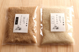 【農薬・化学肥料不使用】令和4年度　コシヒカリ　《白米・玄米》　お試しパック各3合・900g