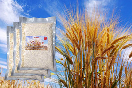 もち麦 キラリモチ 合成農薬・化成肥料不使用 ２５０g お得な３袋セット(
２５０g×３袋）美味しくプチモチ腸活！