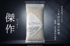 【R7年産】最高金賞受賞　最高級南魚沼産コシヒカリ「こまがた家のお米」 節減対象農薬：当地比8割減 300g×10個真空パックセット（精米）
