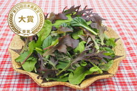 第55回日本農業賞大賞受賞！ベビーリーフ【100g×5袋】