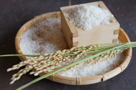 米の甘味！山形県産 ひとめぼれ（5kg×2：子1大人2／1日2食約1ヶ月分） 令和6年産：精米、お試し用パックご飯1個（180g）付
