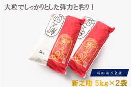 令和7年　新之助５ｋｇ×２袋　精米