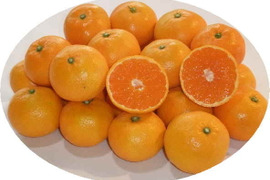 中生みかん【石地*いしじ*】2.5kg | *蜜柑家*