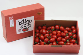 やみつきになるミニトマト－とまとのこころ（1㎏）