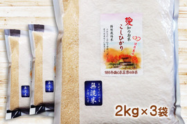 防災食・備蓄米に 無洗米 ６ｋｇ（２ｋｇ×３袋）コシヒカリ 特別栽培米 愛知県産１００％