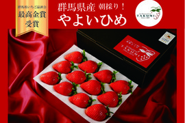 【冬ギフト】【贈答用】【熨斗対応可】「群馬県いちご品評会最高金賞受賞」朝採れいちご　２箱（計やよいひめ400g x 2シート）