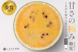 【7月下旬より発送開始予定】金賞&糖度日本一受賞 プレミアム大玉八色産【金色羅皇】スイカ「こまがた家の八色のスイカ」（1玉あたり6~9kg）1玉