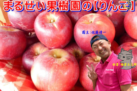 まるせい果樹園のりんご　　3kg自家用　贈答用　(6～15玉入り)　玉数指定不可