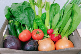 管理栄養士厳選！旬のお野菜5～7種類＆抗酸化値野菜セット