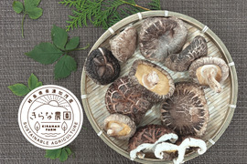 『旨味最強レベル！』原木で育てた「乾燥原木しいたけ」７０ｇ